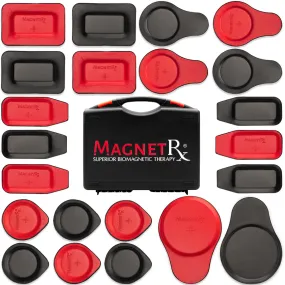 Biomagnetic Therapy Magnets Kit (22 Mixed Units)