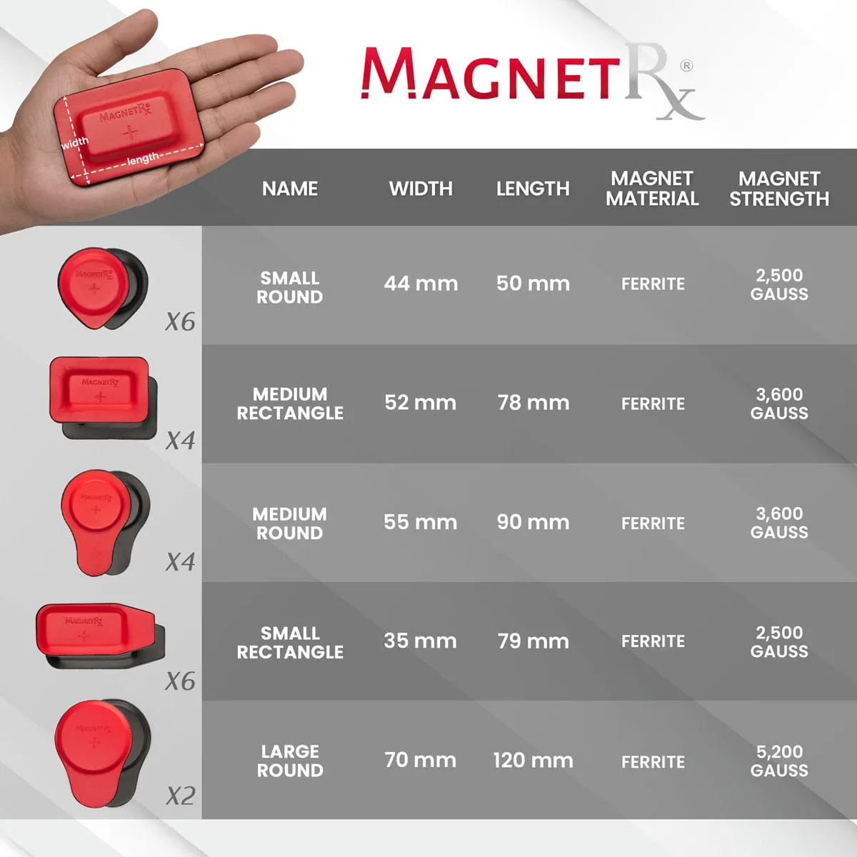 Biomagnetic Therapy Magnets Kit (22 Mixed Units)