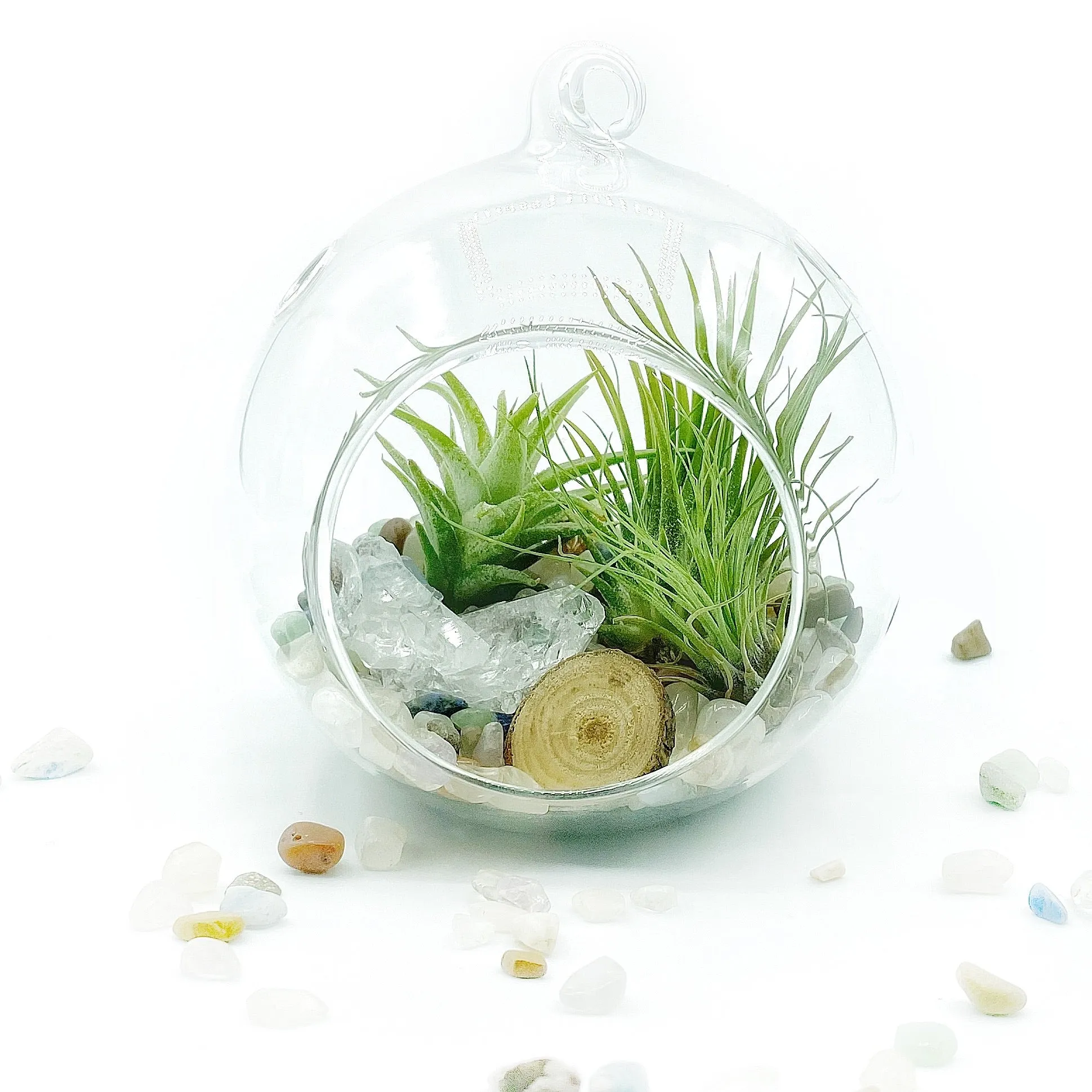 DIY Gemstone Terrarium