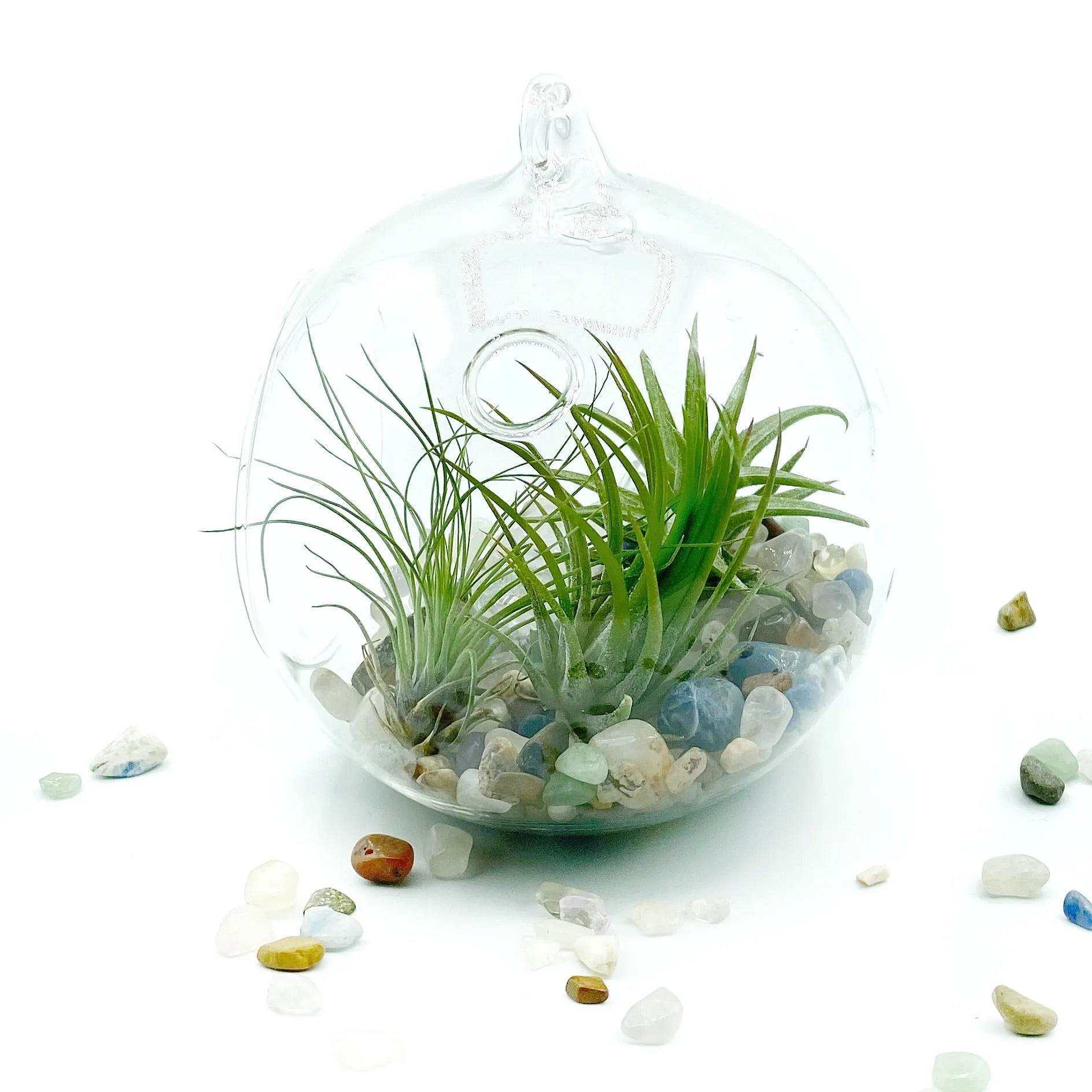 DIY Gemstone Terrarium