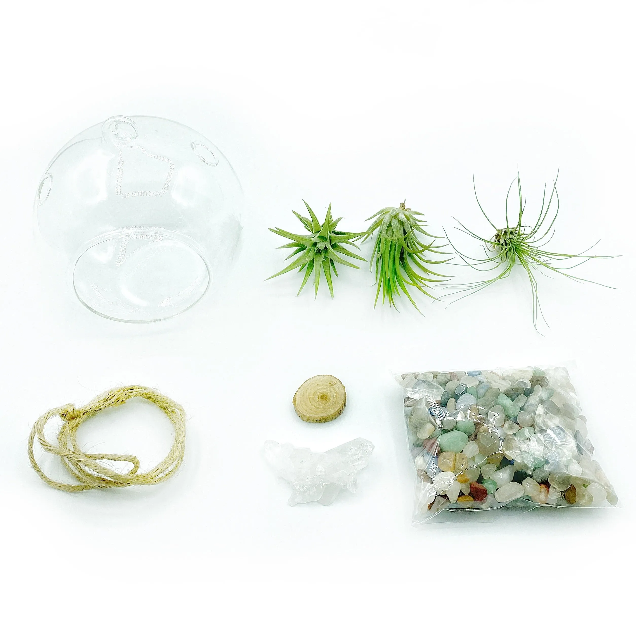 DIY Gemstone Terrarium